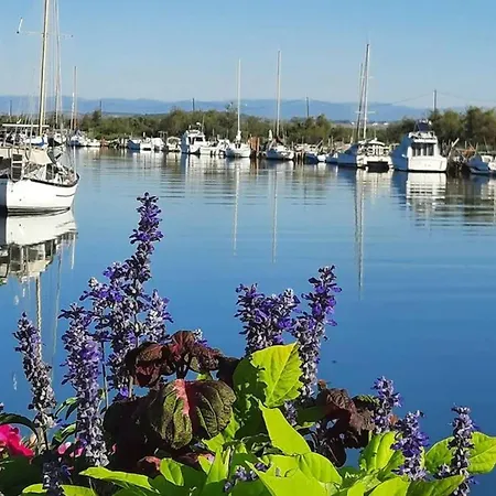 Appartamento Rénové Narbonne, à 100m De La Plage, Avec Terrasse Et Parking Privé, Climatisation Incluse - Fr-1-619-132 *