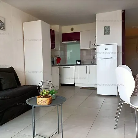 Renove Narbonne, A 100m De La Plage, Avec Terrasse Et Parking Prive, Climatisation Incluse - Fr-1-619-132 아파트 나르본