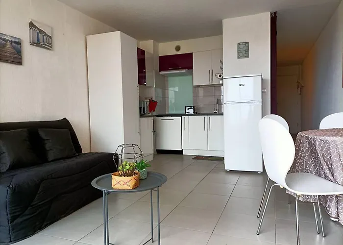 דירה Renove Narbonne, A 100m De La Plage, Avec Terrasse Et Parking Prive, Climatisation Incluse - Fr-1-619-132 *