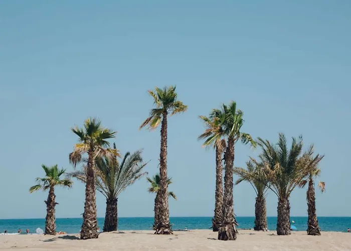 דירה Renove Narbonne, A 100m De La Plage, Avec Terrasse Et Parking Prive, Climatisation Incluse - Fr-1-619-132